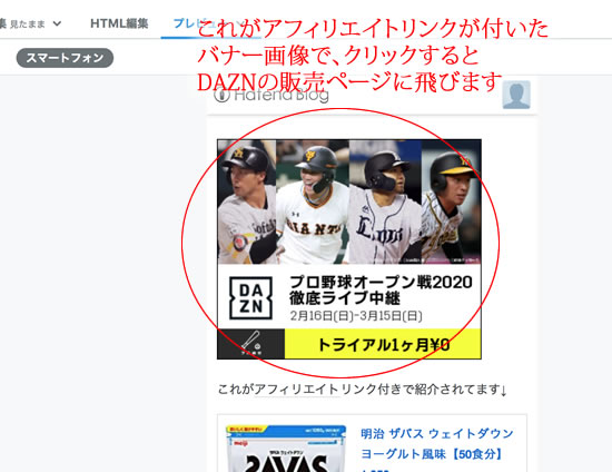 掲載されたアフィリエイトバナー