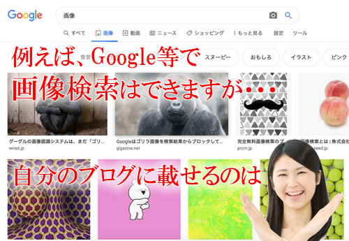 �摜�̈��p�̓_���I