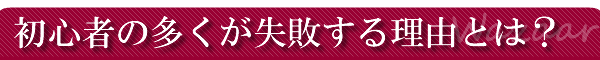 �l�b�g�r�W�l�X���S�҂̕������s���闝�R�Ƃ́H