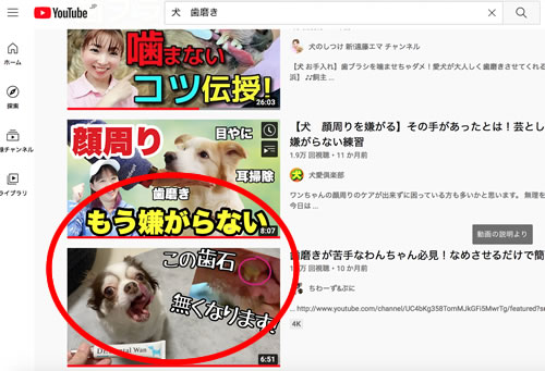 Youtube�̌��̎���������