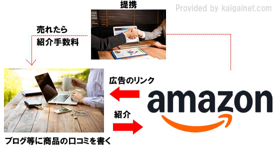 AtBGCgLƂ́HAmazon̗ŉI