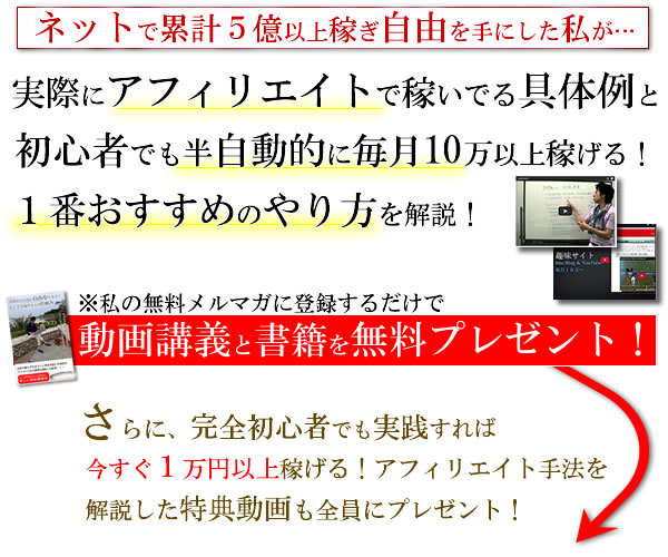 �l�b�g�r�W�l�X�ŉ҂��ׂ̔錍����������������[���u��