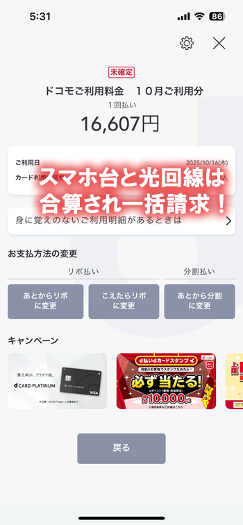 一括請求の支払い