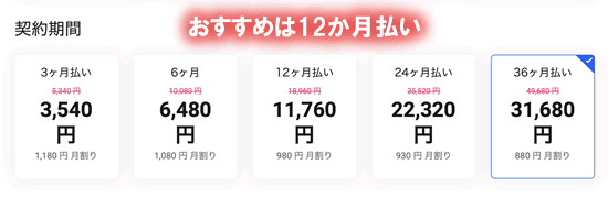 mixhostの契約期間